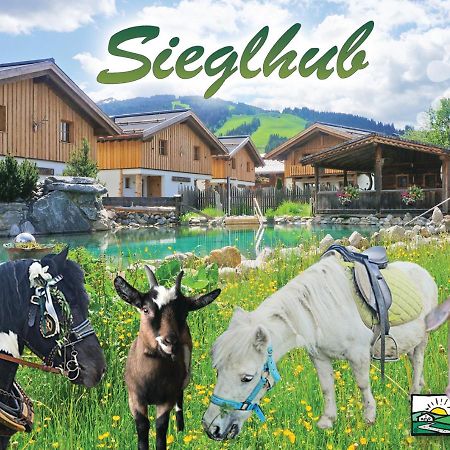 Sieglhub Chalets - Appartements - Hotel Flachau Buitenkant foto