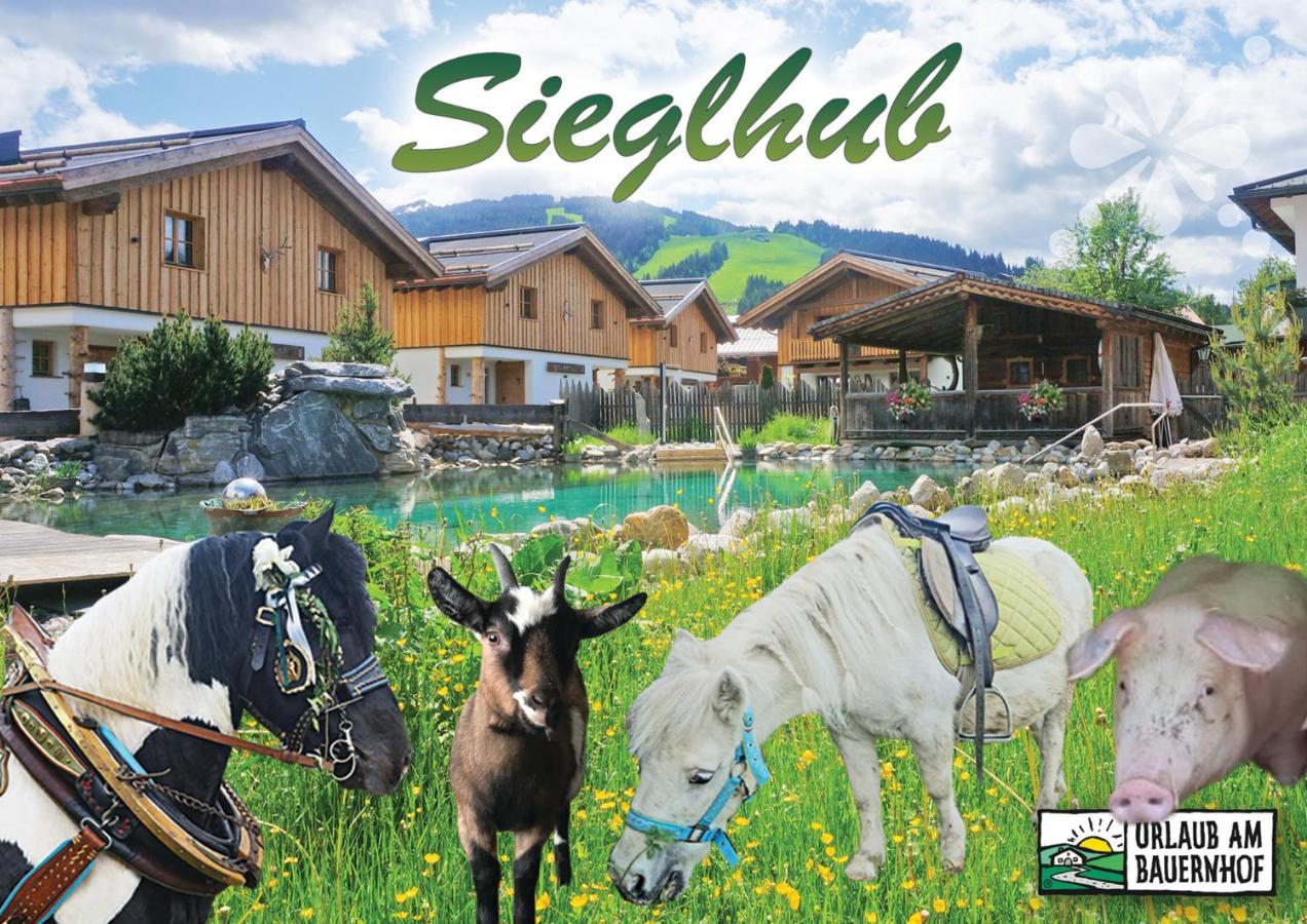 Sieglhub Chalets - Appartements - Hotel Flachau Buitenkant foto